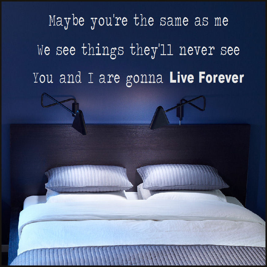 LARGE WALL STICKER OASIS LYRICS YOU AND I ARE GONNA LIVE FOREVER TRANSFER UK